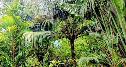 One Bedroom House on Mambajao Camiguin Island - 5 min Drive to Ardent Hot Spring