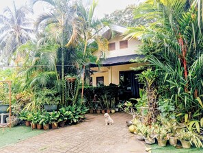 Property grounds - One Bedroom House on Mambajao Camiguin Island - 5 min Drive to Ardent Hot Spring (Mambajao)