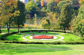 Imagem sem classificação, 5 de 40, botão