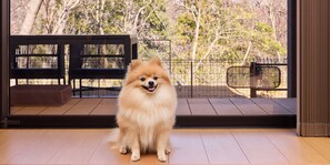 Free WiFi - Rakuten STAY VILLA Hakone Gora (Hakone)