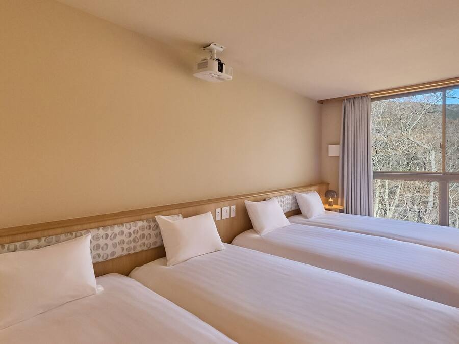 Habitación de hotel con tres camas, un ventanal con vistas a árboles y una lámpara en el techo.