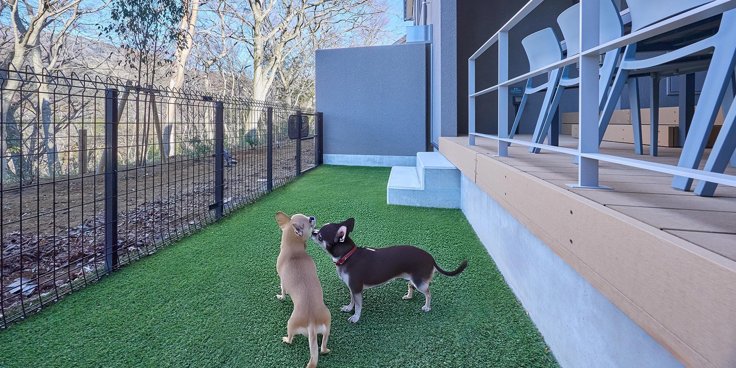 [C] Dog-Friendly / 4 Single beds + 1 Daybed / 111 sqm / with Natural Hot Spring (up to 6 guests) | Free WiFi