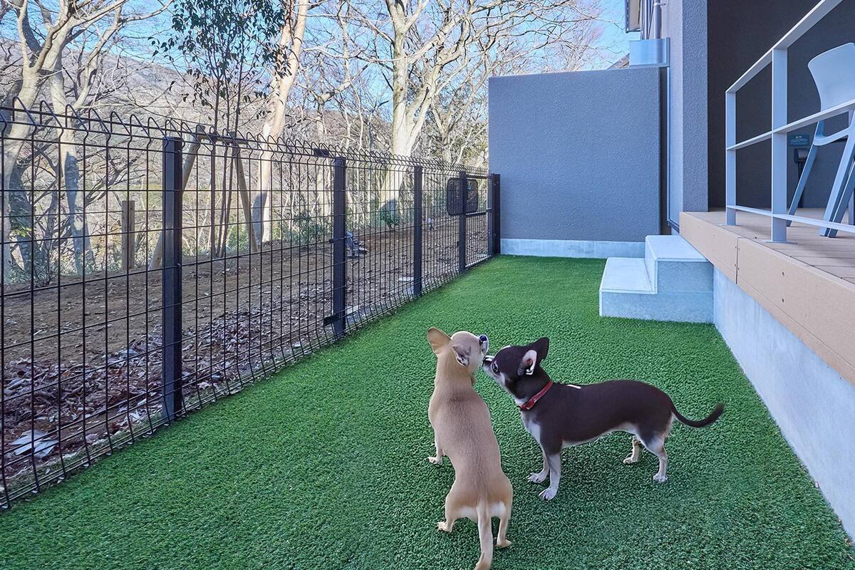 Biệt thự, không hút thuốc, được phép mang theo vật nuôi (Type C, Natural Hot Spring, Max 6 Pax) | Truy cập Internet không dây miễn phí