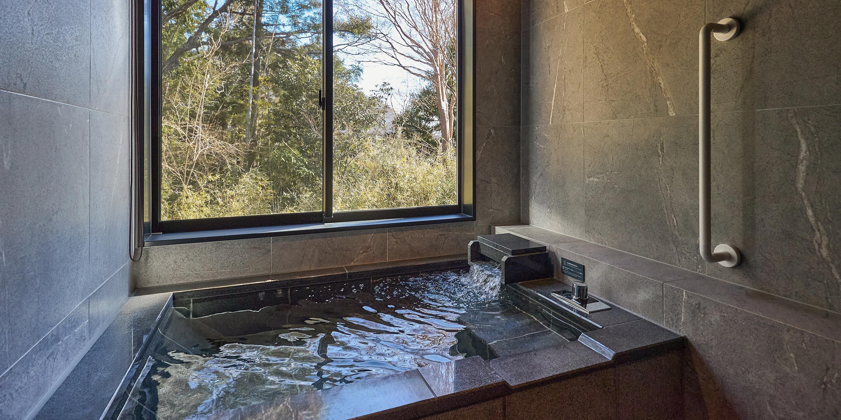 Une salle de bain moderne dotée d’un jacuzzi intégré, d’une fenêtre donnant sur les arbres et d’une barre d’appui.