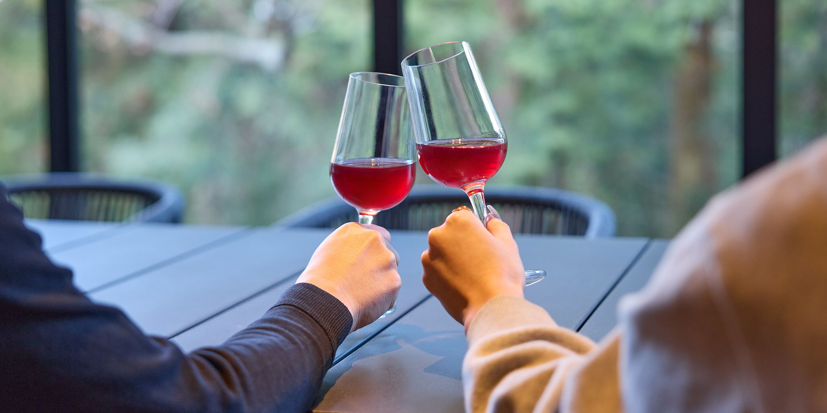 Dos personas brindando con copas de vino en una mesa con vista a los árboles.