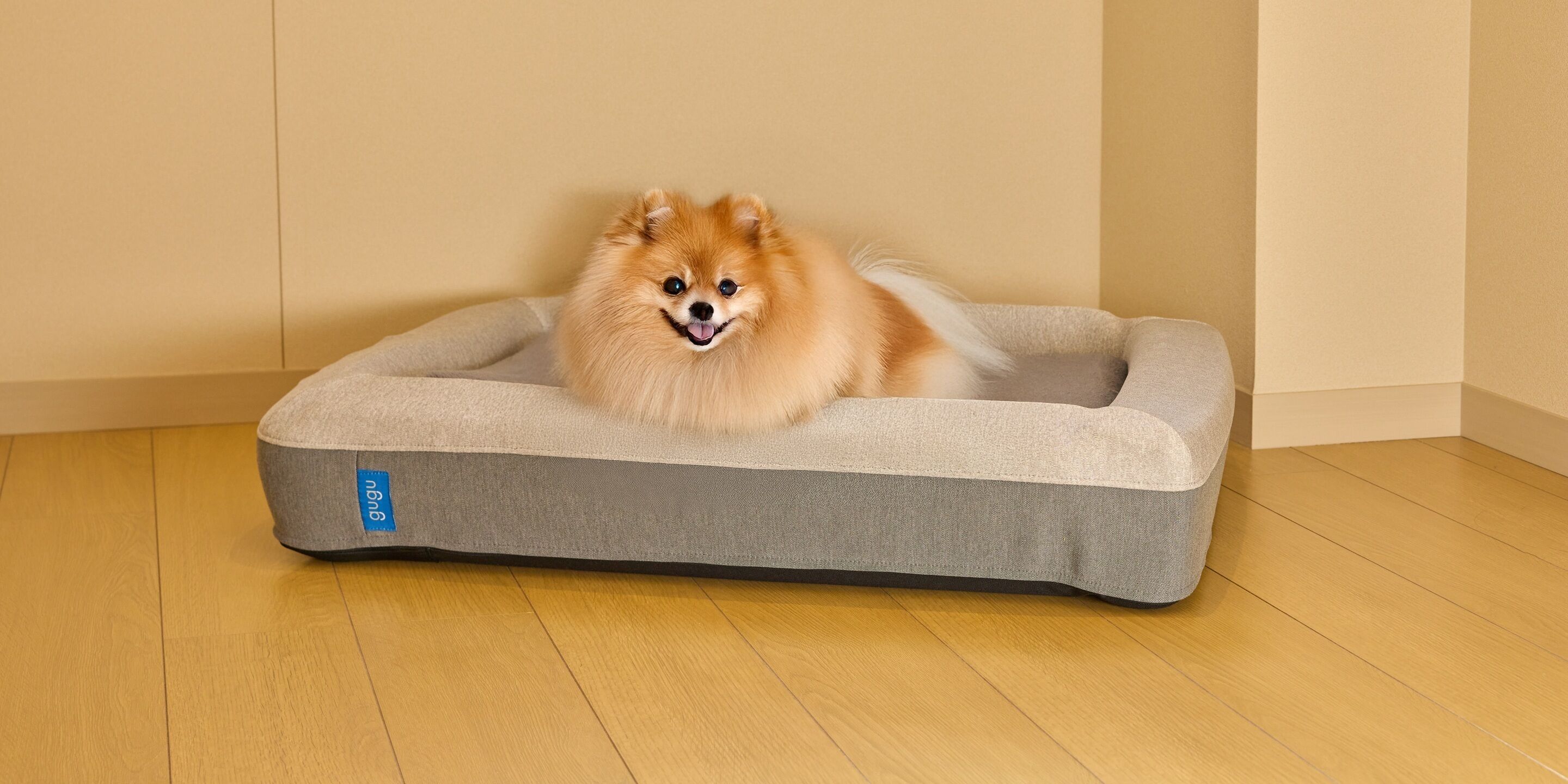 A small, plush dog bed with a tag on it, placed on a wooden floor.