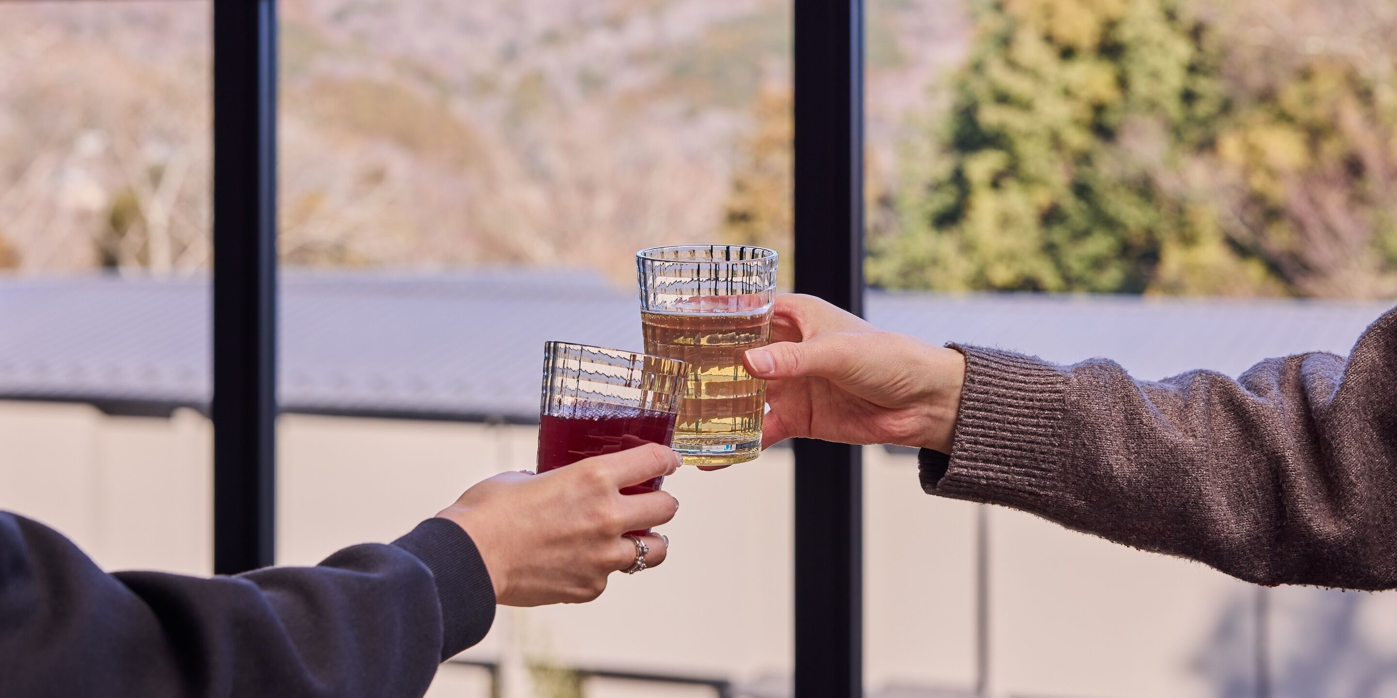 Two people holding glasses of beer, one with a red drink, against a window with a view of trees and hills.