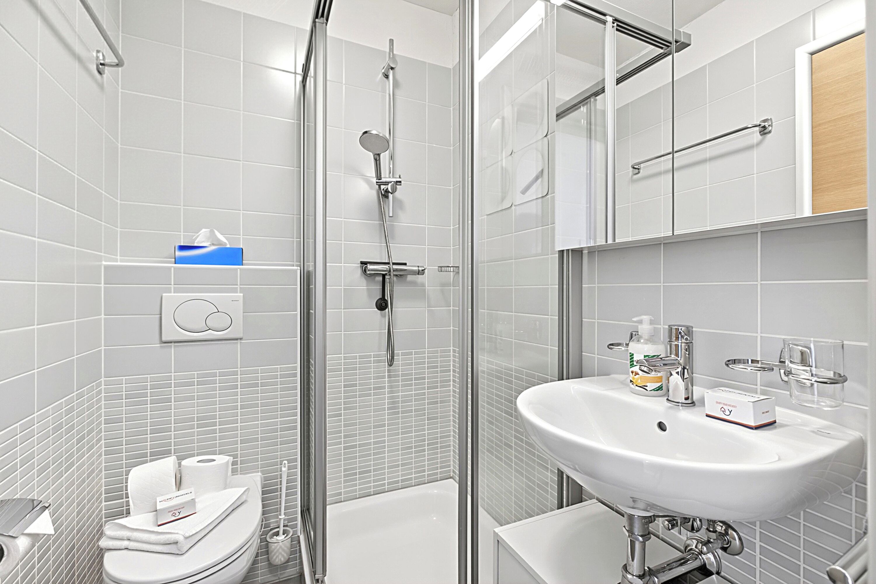 Ein modernes Badezimmer mit einer Duschkabine, einem weißen Waschbecken und einer Toilette.