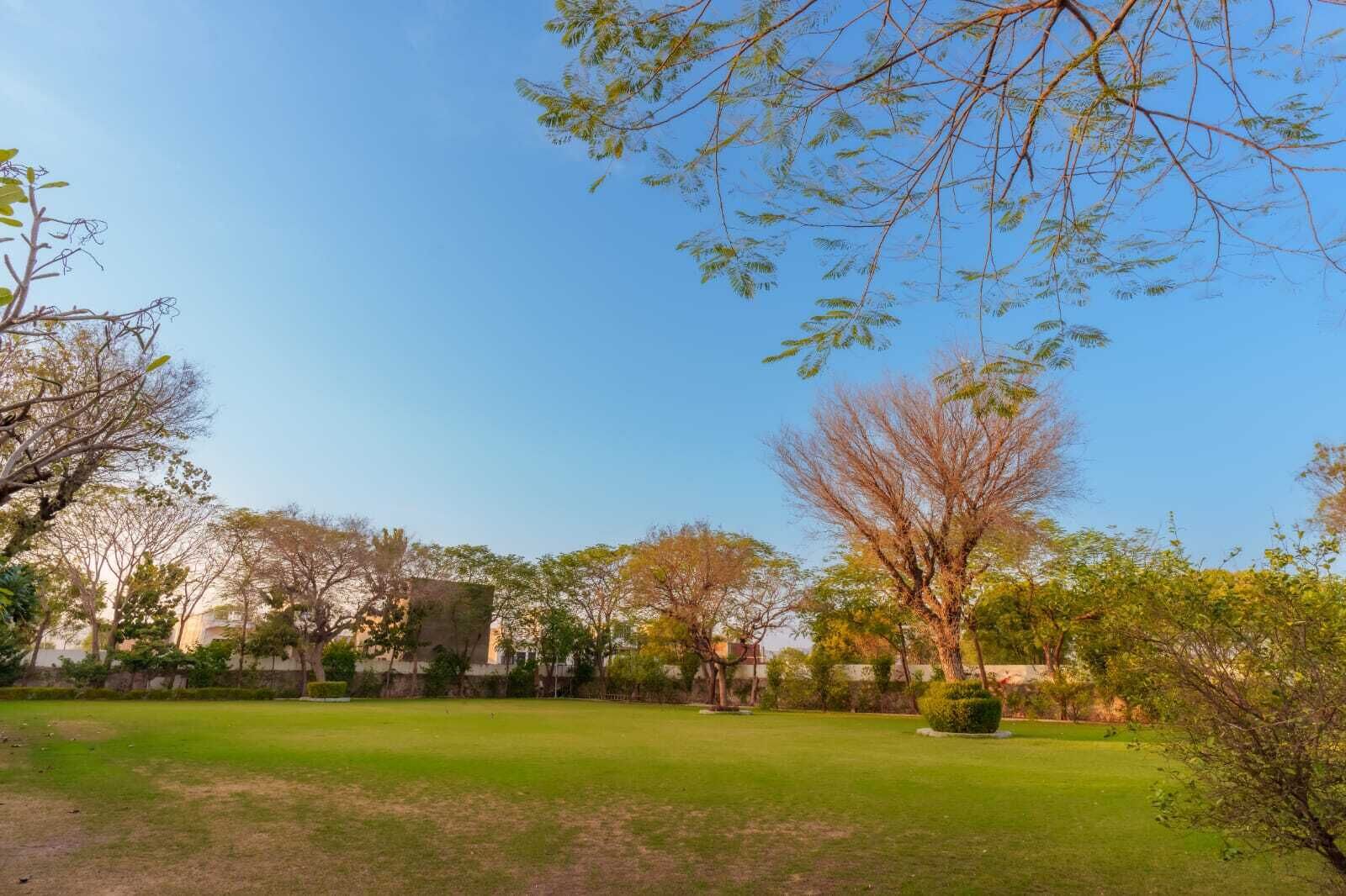 A grassy park area with trees and a building in the background.