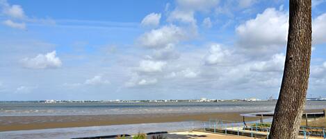 A beach with a tree, a bench, and a view of the sea and distant buildings.