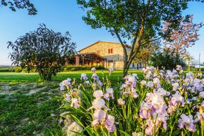 Property grounds - Spacious villa with private pool and panoramic views of the Umbrian hills, just 15 minutes from Todi (Collazzone)