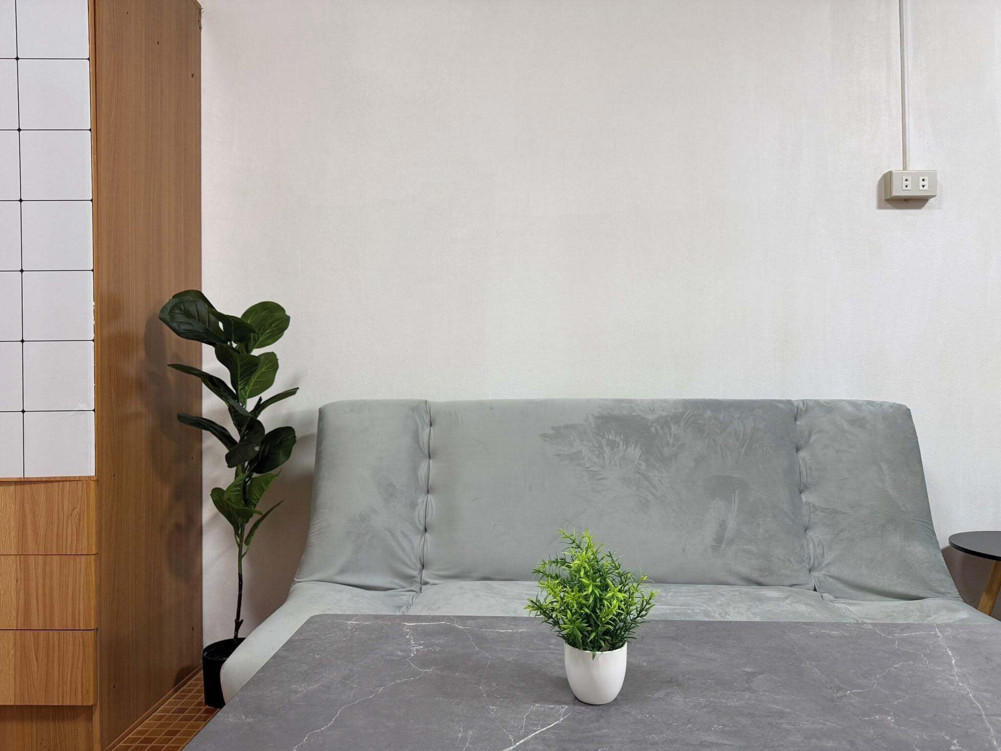 Ein modernes Wohnzimmer mit einem grauen Sofa, einem kleinen weißen Tisch und einer Topfpflanze.