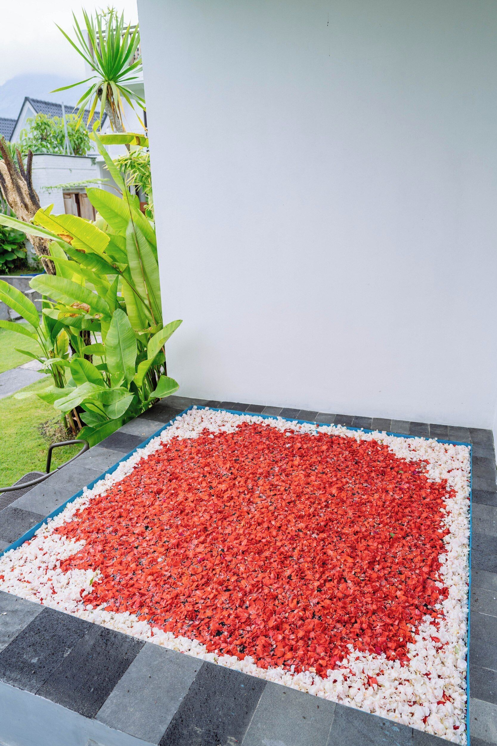 Villa, vue piscine | Enceinte de l’hébergement