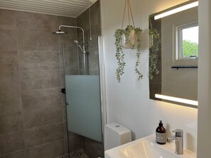 Une salle de bain moderne avec une douche à parois de verre, un lavabo blanc, un distributeur de savon portatif et une plante suspendue.