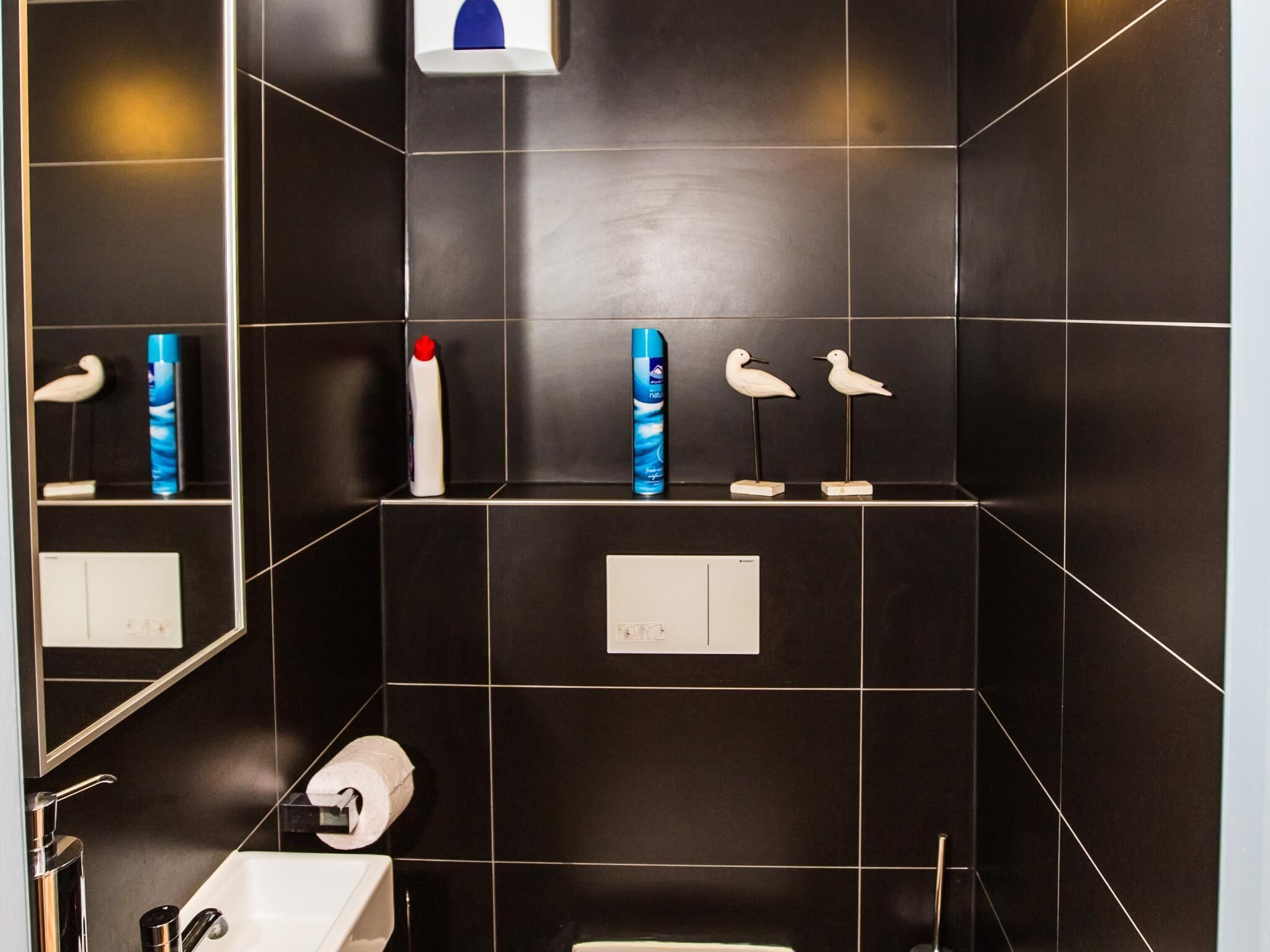 A modern bathroom with black tiles, a white sink, and a mirror. There are two bird-shaped soap dispensers and a blue hand soap bottle on the wall.