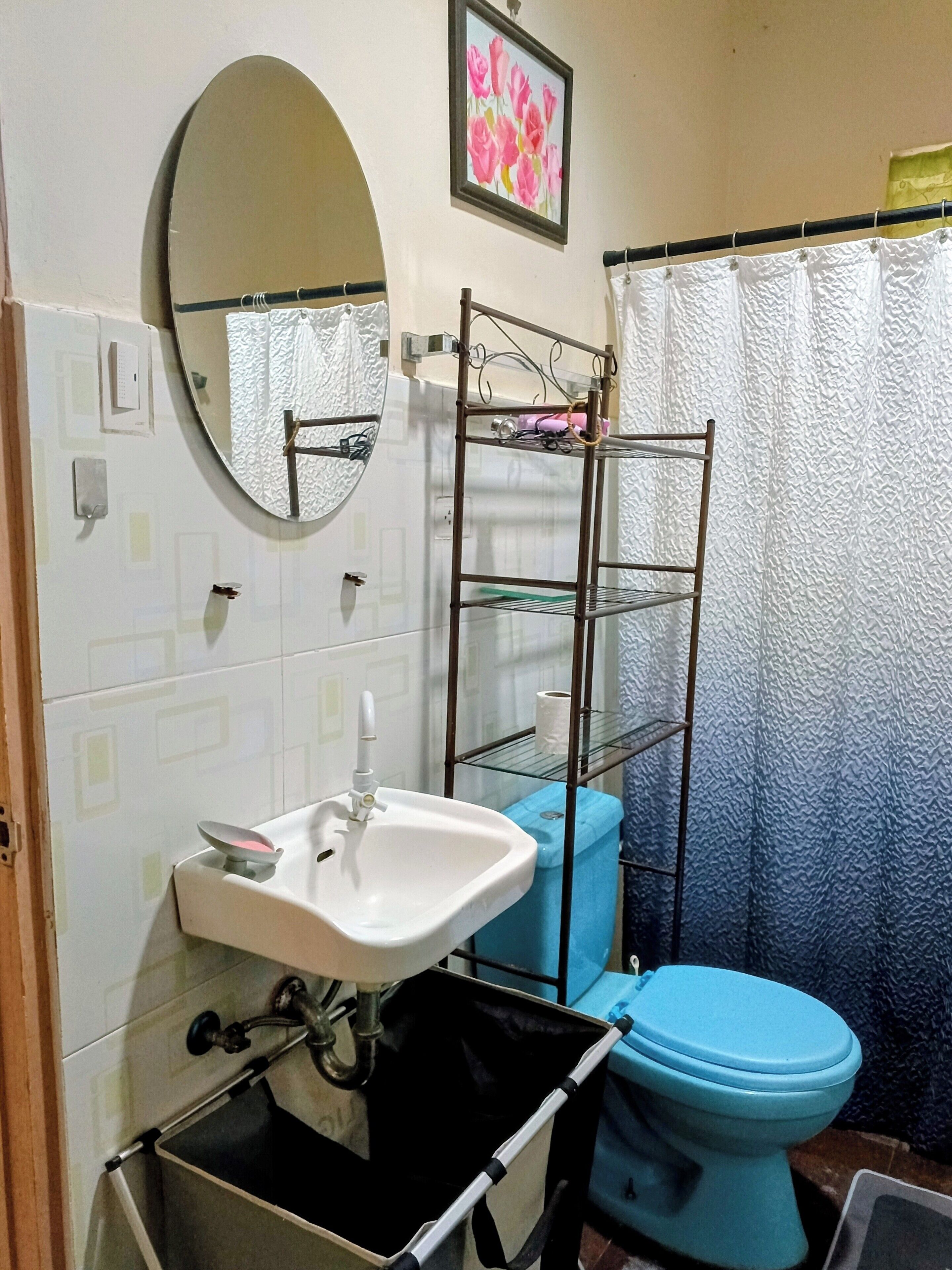 Shower, bidet, towels, toilet paper