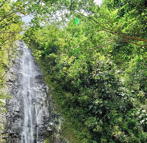 Unclassified image, 1 of 1, button