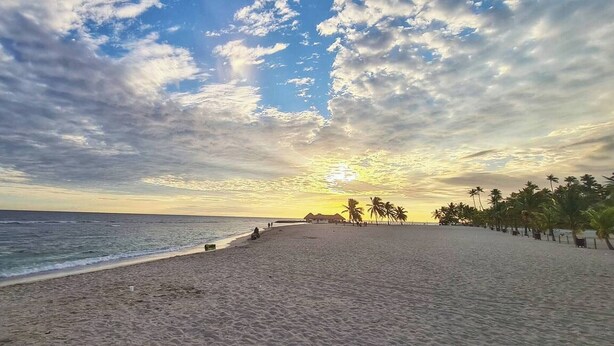 Een strand met een rij palmbomen en een gebouw in de verte.