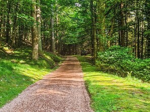 Unclassified image, 2 of 13, button - Glen Doll Lodge - UK51268 (Glen Clova)