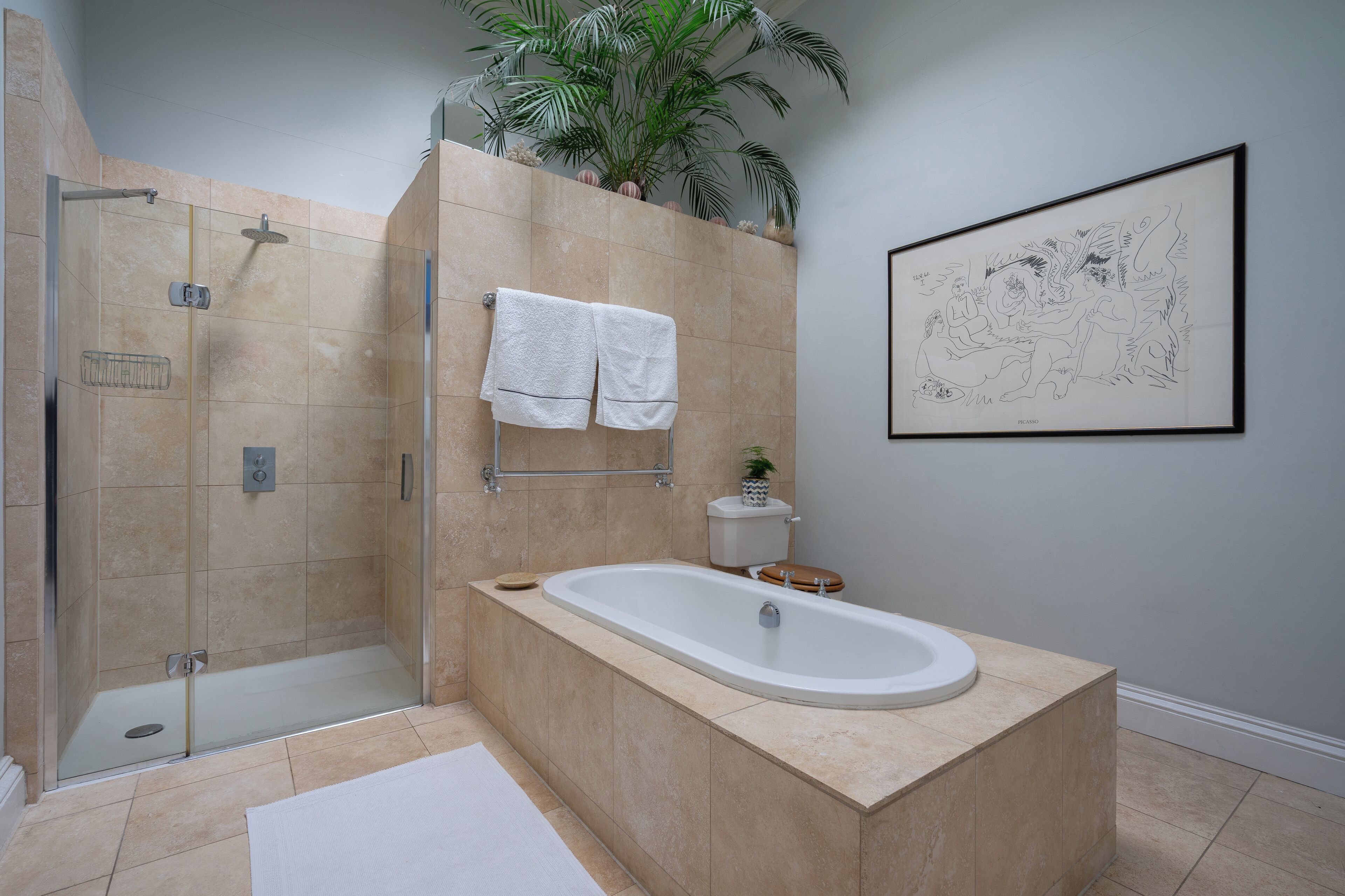 Shower, towels, soap, toilet paper