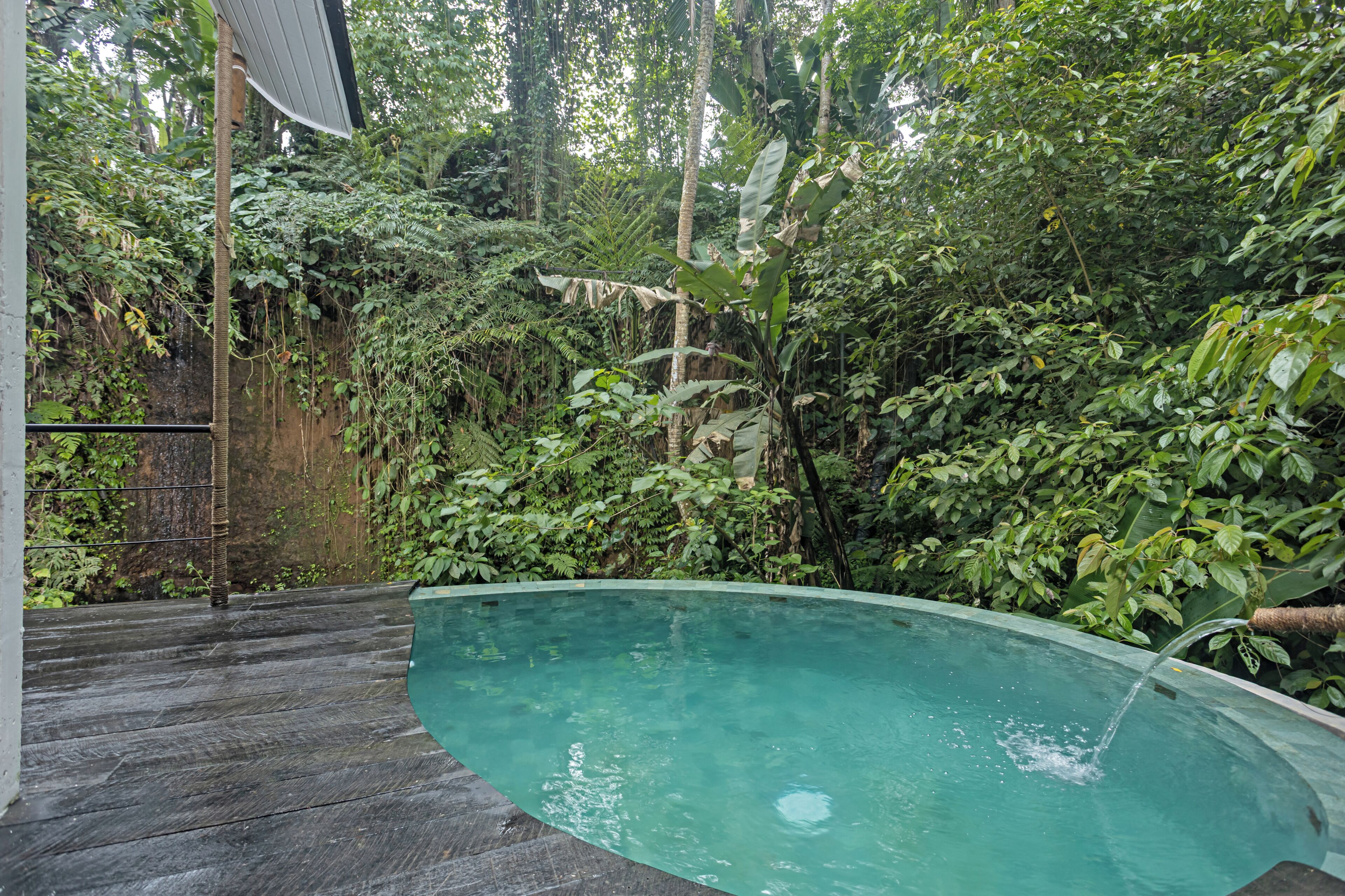 Una piscina rodeada de abundante vegetación y una terraza de madera.