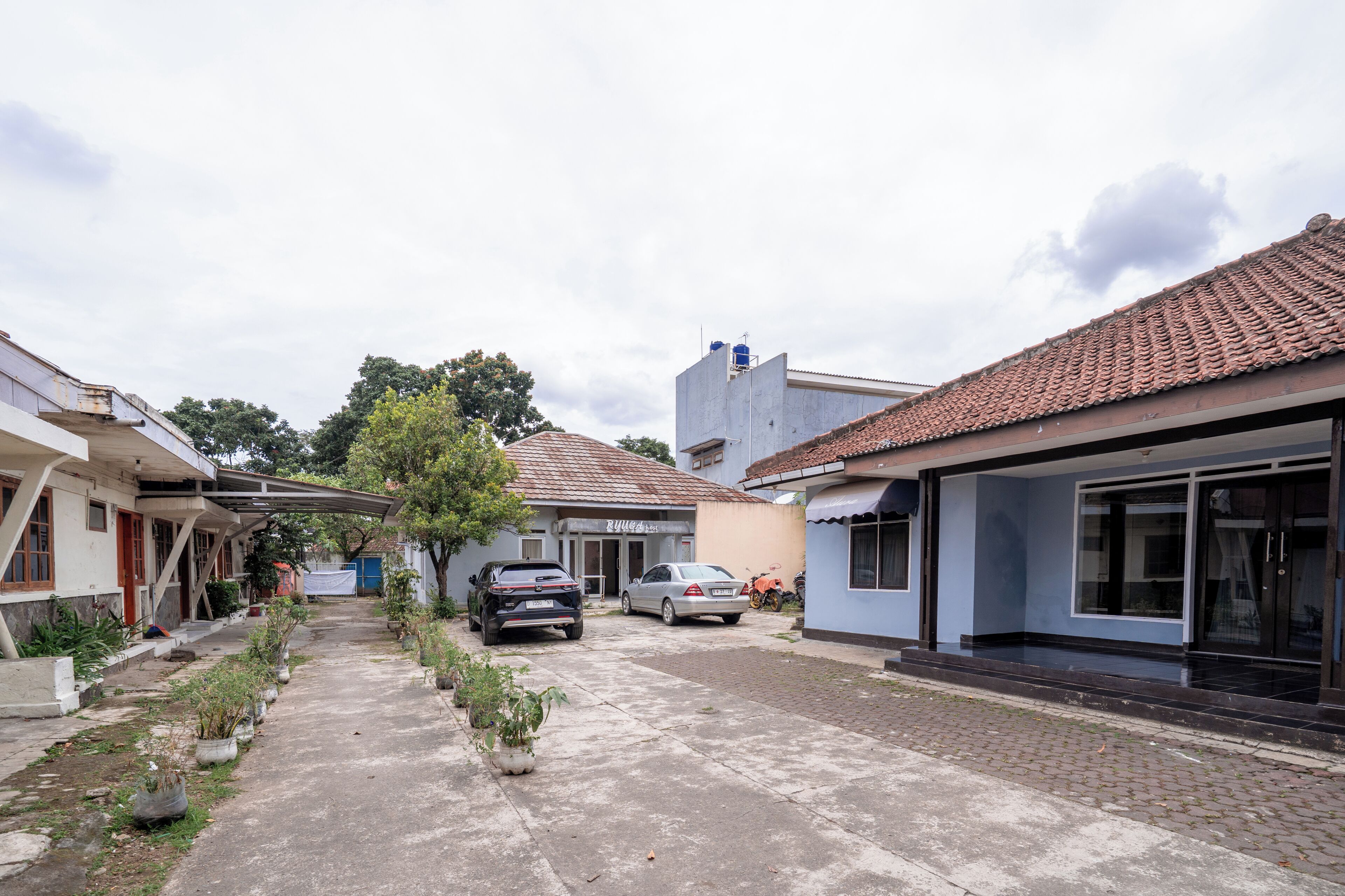A residential street with houses, parked cars, and potted plants.