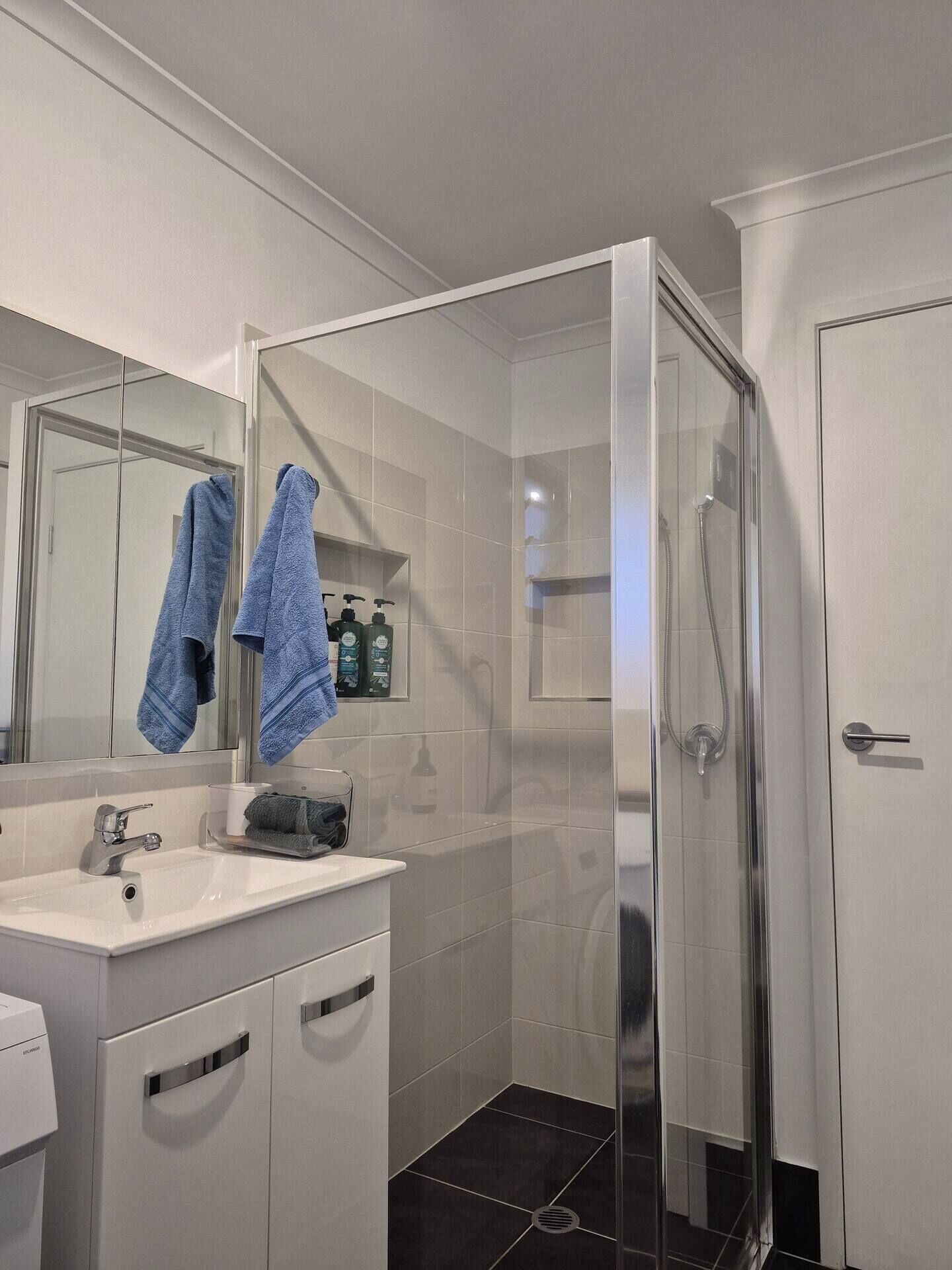 Shower, hair dryer, bidet, towels