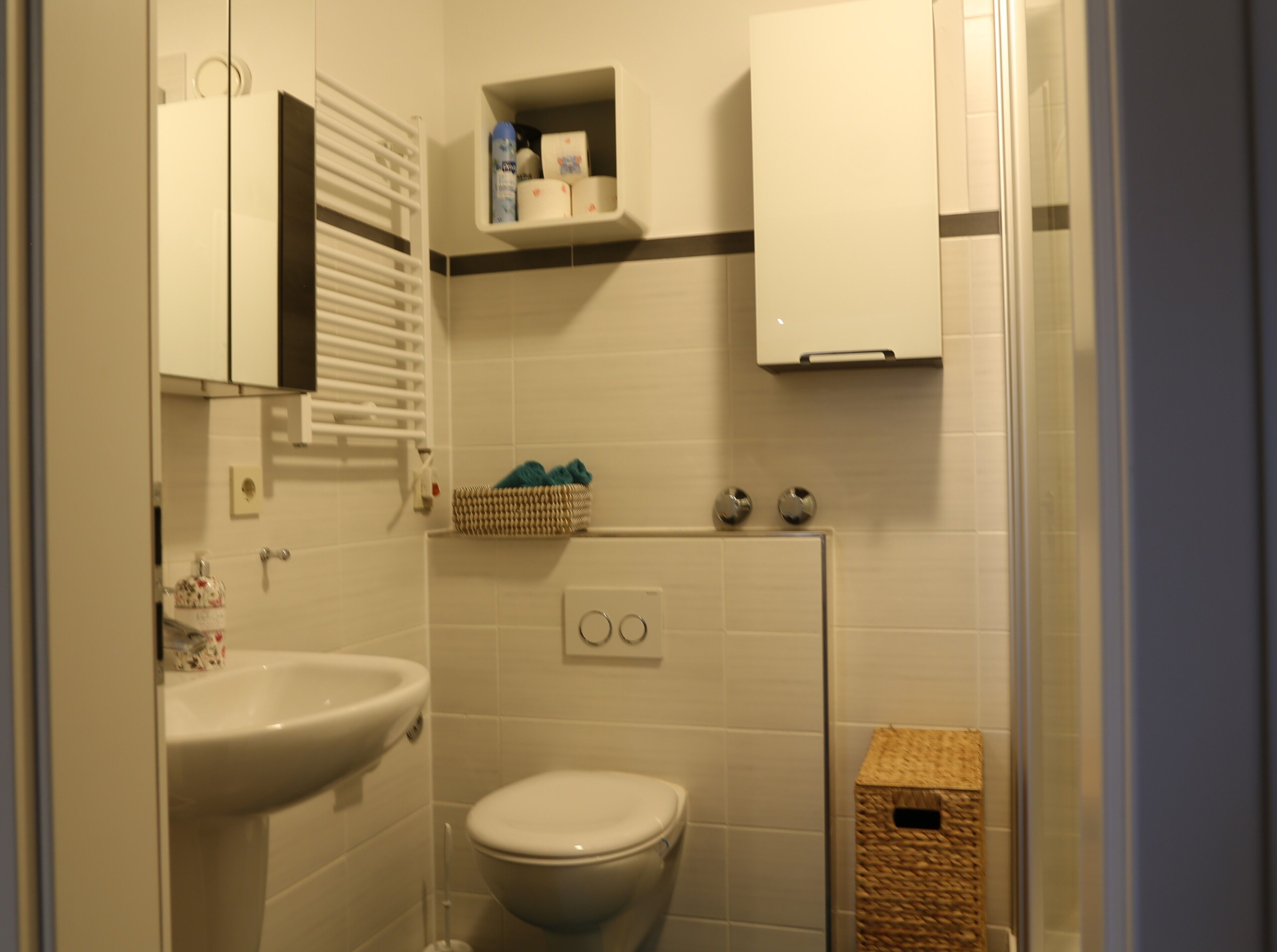 Dusche, Haartrockner, Handtücher