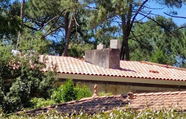 Nicht klassifiziertes Bild, 1 von 12, Schaltfläche