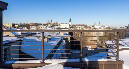 Cozy 2BR oldtown apartment / rooftop/ views
