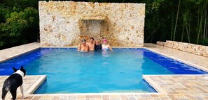 Une piscine avec un mur en pierre en arrière-plan, une terrasse carrelée et un chien au bord.