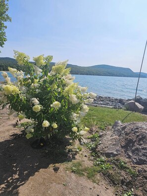 Nicht klassifiziertes Bild, 5 von 65, Schaltfläche