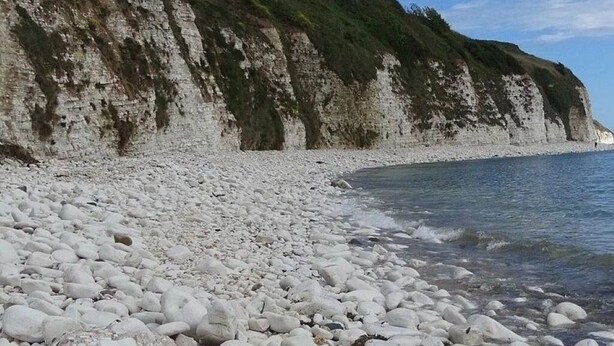 Uma praia rochosa com pedras brancas e um penhasco coberto de vegetação verde.