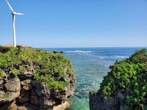 Uklassifisert bilde, 4 av 37, knapp