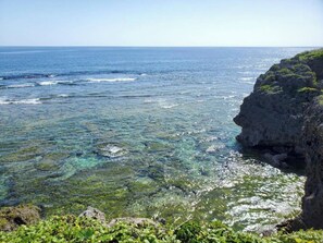 Botón de imagen sin clasificar, 5 de 37