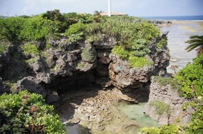 Botón de imagen sin clasificar, 4 de 37