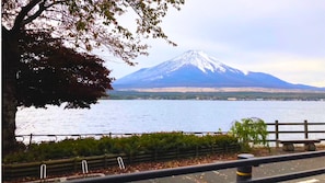 Niet-geclassificeerde afbeelding, 2 van 18, knop