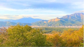 Niet-geclassificeerde afbeelding, 5 van 18, knop