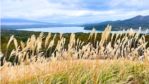 Niet-geclassificeerde afbeelding, 3 van 18, knop