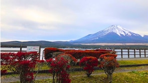Niet-geclassificeerde afbeelding, 4 van 18, knop