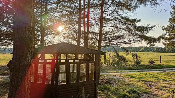 A small wooden cabin with multiple windows, surrounded by trees and a grassy field. - Lovely apartment in Szlachta with WiFi (Szlachta)