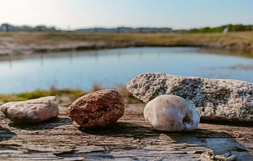 Awesome apartment in Szlachta