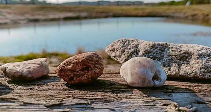 Awesome apartment in Szlachta