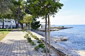 Uma passarela pavimentada ao longo da orla marítima, com árvores e um edifício ao fundo.