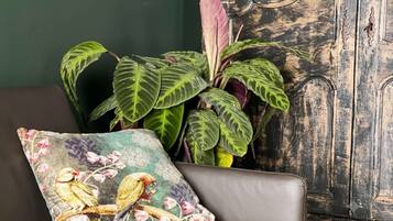 Una habitación con una pared verde oscuro, una planta grande en maceta de hojas variegadas, un cojín floral con pájaros y un aparador de madera rústica.
