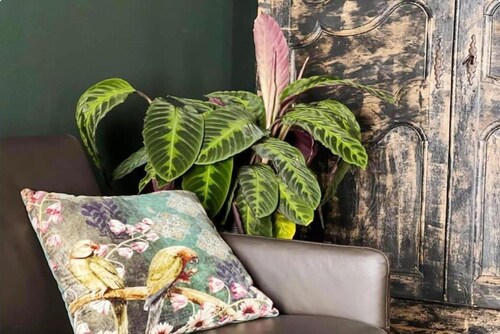 Gemütlicher Pärchenurlaub in der Nähe von Thermen