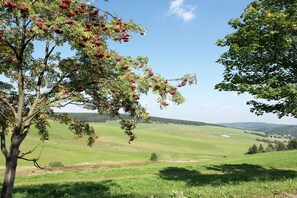 Miscellaneous - Holiday apartment de-kleene in Mildenau (Mildenau)