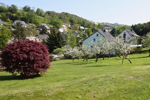 Zona residencial amb cases, un arbre vermell gran i arbres amb flors al primer pla.