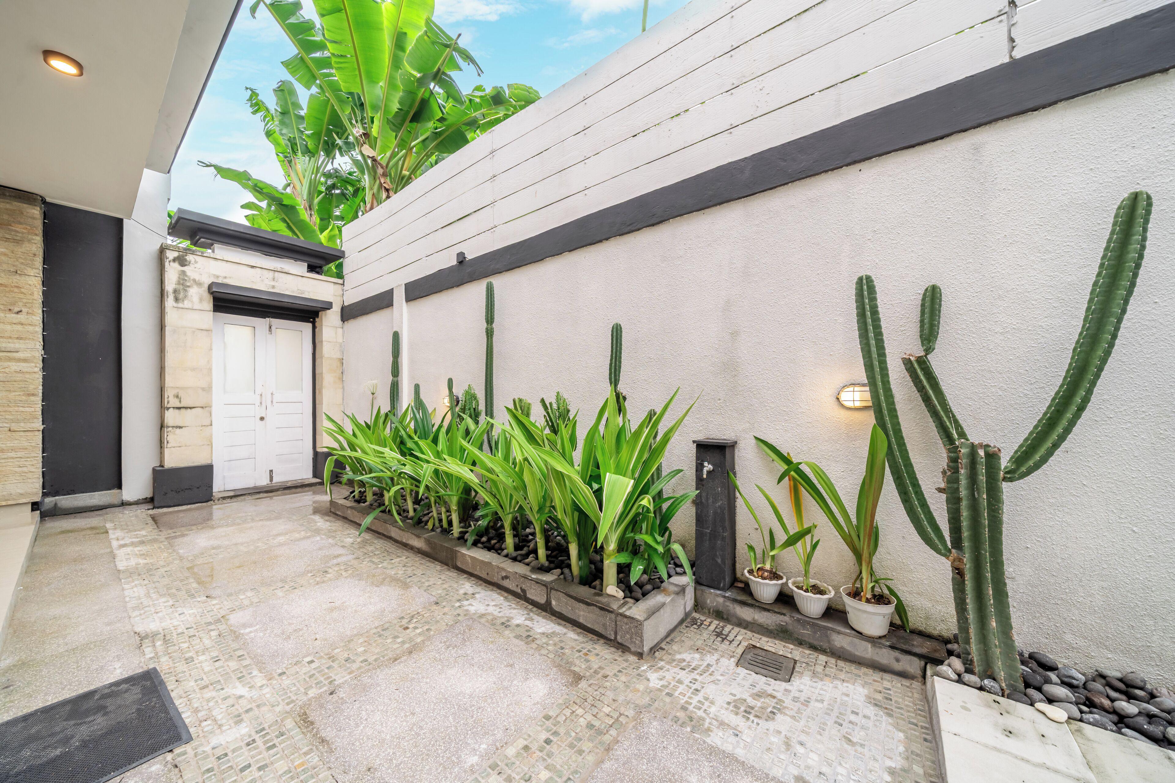 A modern building exterior with a concrete floor, a white door, and a row of potted plants and cacti along the wall.