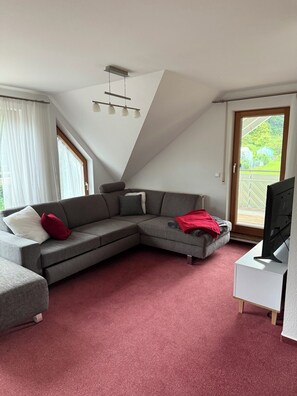 Tv, dvd-afspiller, bøger